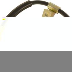 FAMOUS BRAND 147441104