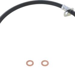 FAMOUS BRAND 147483154