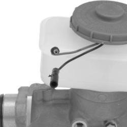 FAMOUS BRAND 147538013