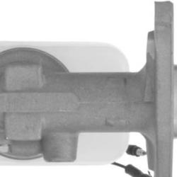 FAMOUS BRAND 147538013