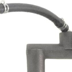 FAMOUS BRAND 1575255985