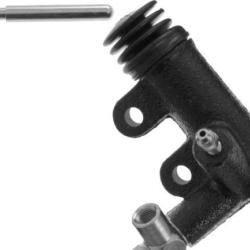 FAMOUS BRAND 157531766