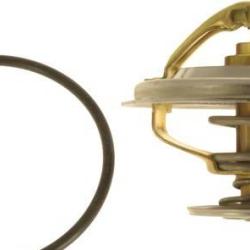 FAMOUS BRAND 1601231879