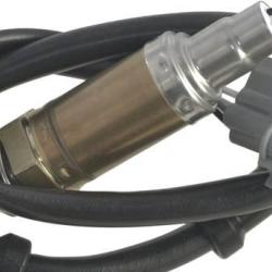 FAMOUS BRAND 190043751