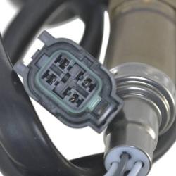 FAMOUS BRAND 1900482117