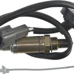 FAMOUS BRAND 1900482117