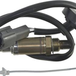 FAMOUS BRAND 1900482117