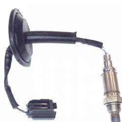 FAMOUS BRAND 1900556099