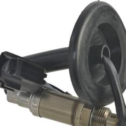 FAMOUS BRAND 1900556099