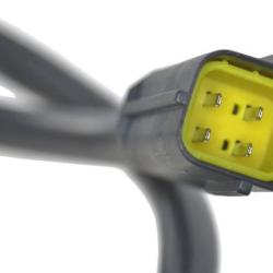 FAMOUS BRAND 1900556106