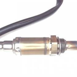 FAMOUS BRAND 1900556106