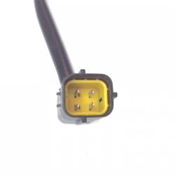 FAMOUS BRAND 1900556106