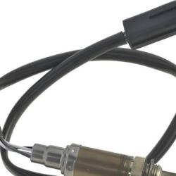 FAMOUS BRAND 1900556106