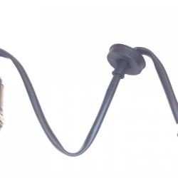 FAMOUS BRAND 1900556116