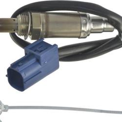 FAMOUS BRAND 1900556121