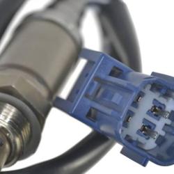 FAMOUS BRAND 1900556121