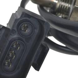 FAMOUS BRAND 1900556123