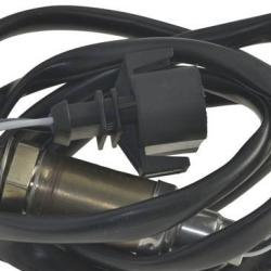 FAMOUS BRAND 1900556123