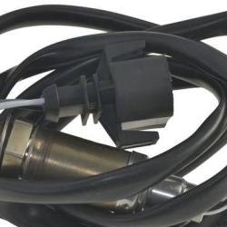 FAMOUS BRAND 1900556123