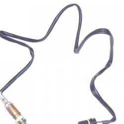 FAMOUS BRAND 1900556125