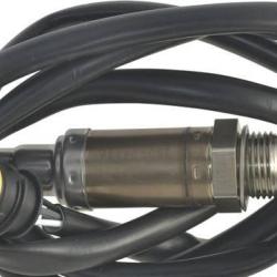 FAMOUS BRAND 1900556125