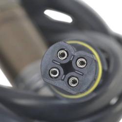 FAMOUS BRAND 1900556125