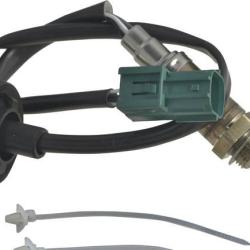 FAMOUS BRAND 1900556138