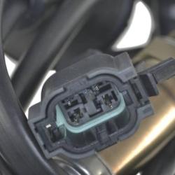 FAMOUS BRAND 1900556140