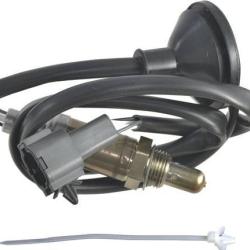 FAMOUS BRAND 1900556140