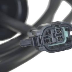 FAMOUS BRAND 1900556141