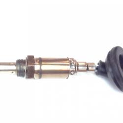 FAMOUS BRAND 1900556141