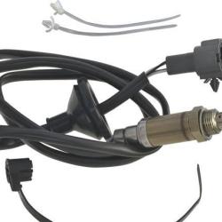 FAMOUS BRAND 1900556141