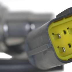 FAMOUS BRAND 1900556143