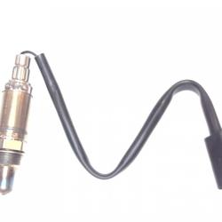 FAMOUS BRAND 1900556143