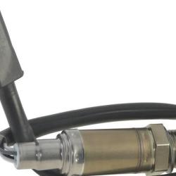 FAMOUS BRAND 1900556143