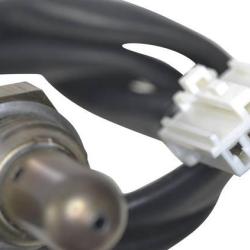 FAMOUS BRAND 1900556144