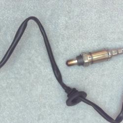 FAMOUS BRAND 1900556144