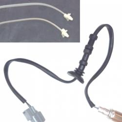 FAMOUS BRAND 1900556160