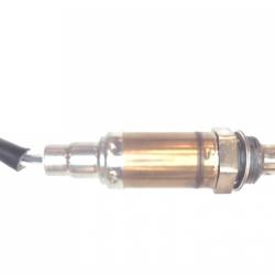 FAMOUS BRAND 1900556160