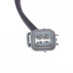 FAMOUS BRAND 1900556160