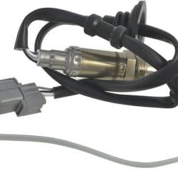 FAMOUS BRAND 1900556160