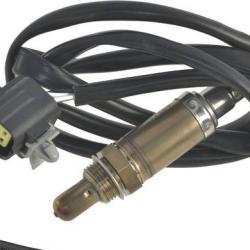 FAMOUS BRAND 1900556167