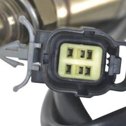 FAMOUS BRAND 1900556168