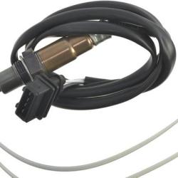 FAMOUS BRAND 1900556171