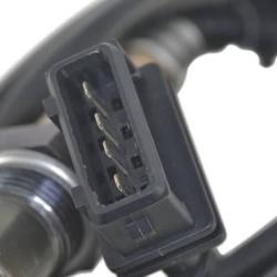 FAMOUS BRAND 1900556171