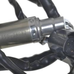 FAMOUS BRAND 1900556179