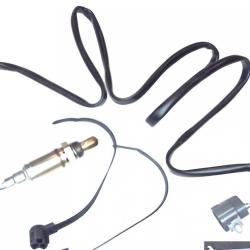 FAMOUS BRAND 1900556192