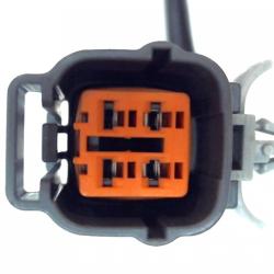 FAMOUS BRAND 1900556192