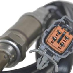 FAMOUS BRAND 1900556192