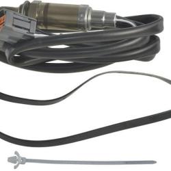 FAMOUS BRAND 1900556192